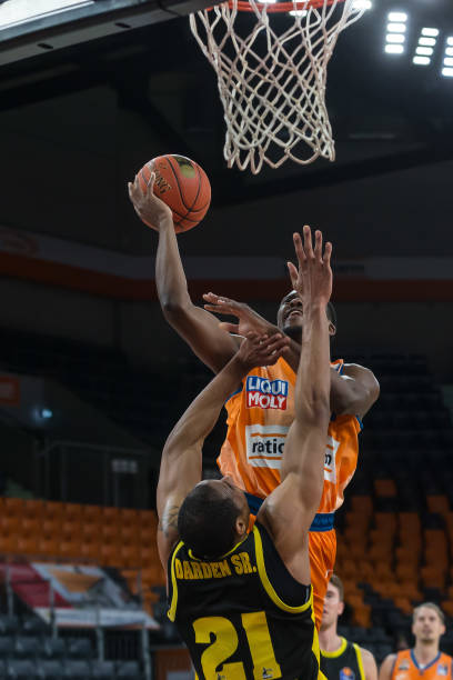 游客在参与 游客在参与