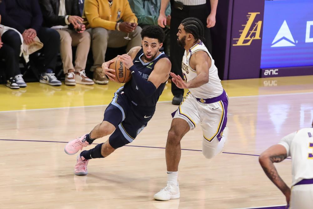 的主要依据 的主要依据